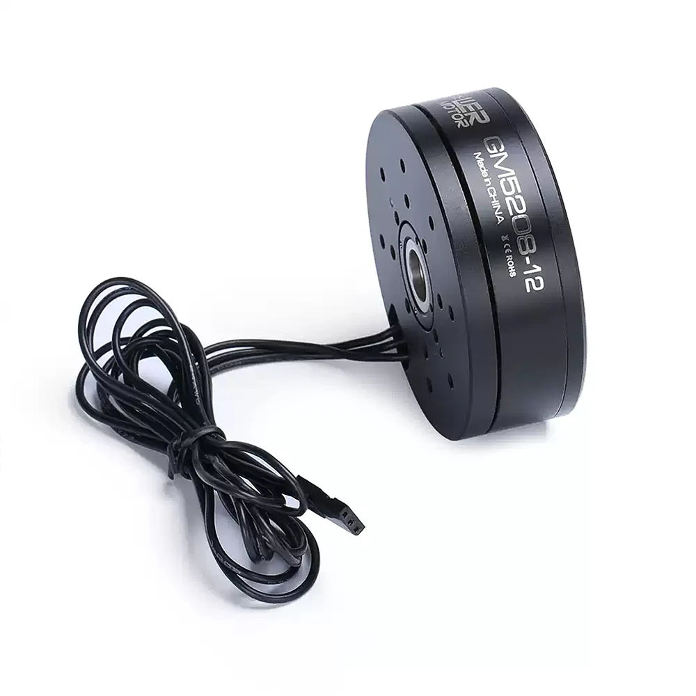 iFlight IPower GM5208-12 Hohlwellen-Brushless-Gimbal-Motor mit AS5048A Encoder