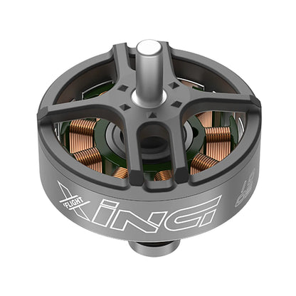 iFlight XING 1002 19000KV/ 22000KV Bürstenloser Motor