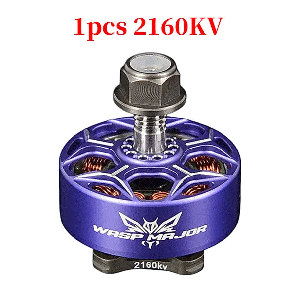 Rcinpower WASP MAJOR EVO Plus 22.6-6.6 2160KV 2200KV Brushless Motor 6S